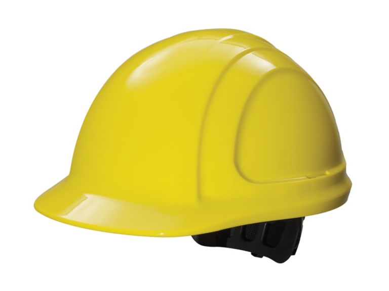 N10R Logo 61