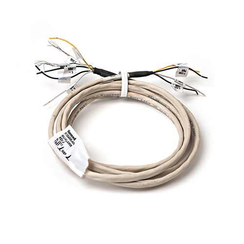 51304465-400-RP_LG-Image