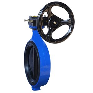 /content/dam/honeywell-edam/hbt/en-us/images/product-images/manual-valves/BA-BMS-BF-WAFER-Type.png