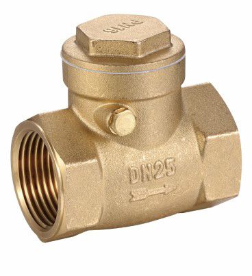 /content/dam/honeywell-edam/hbt/en-us/images/product-images/manual-valves/BA-BMS-Brass-Check-Valve.jpg