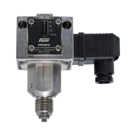 MAXIMUM PRESSURE MONITOR