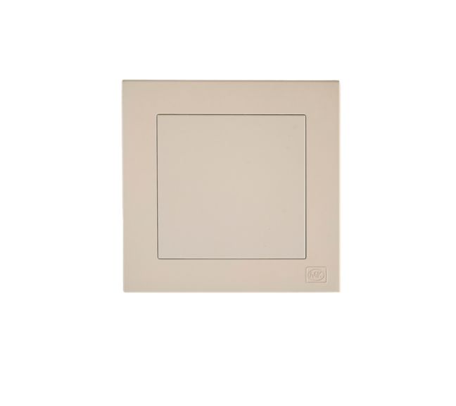 1G Blank plate