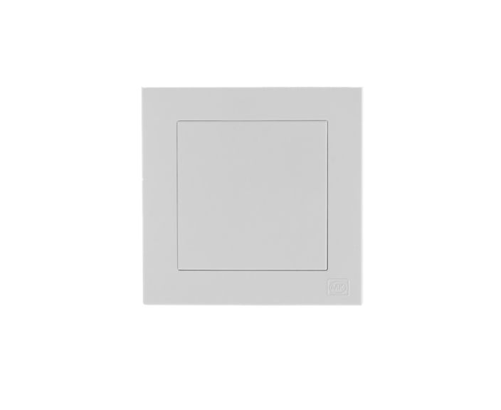 1G Blank plate
