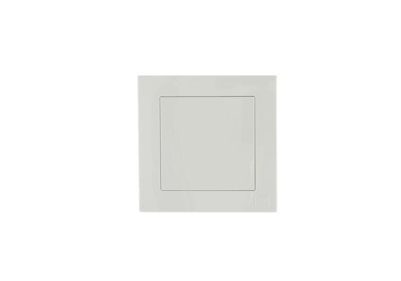 1G Blank plate