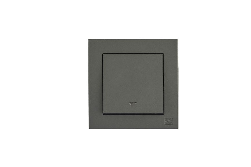 1G 10A Push Button Switch with Neon