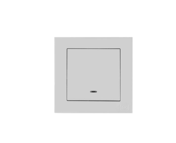 1G 10A Push Button Switch with Neon