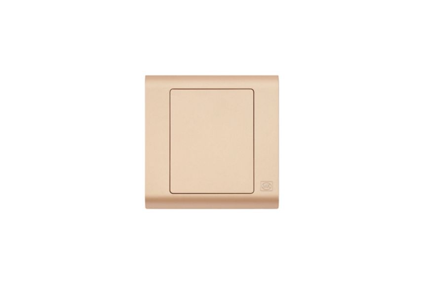 MV3827CHM Essentials 1G blankplate champagne