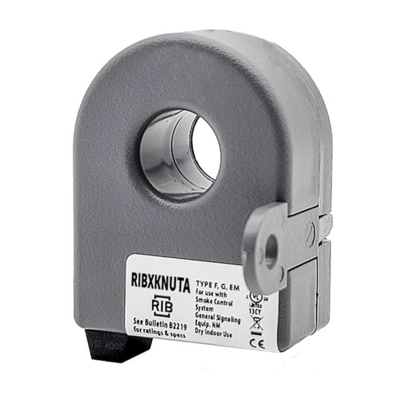 RIB current sensor products