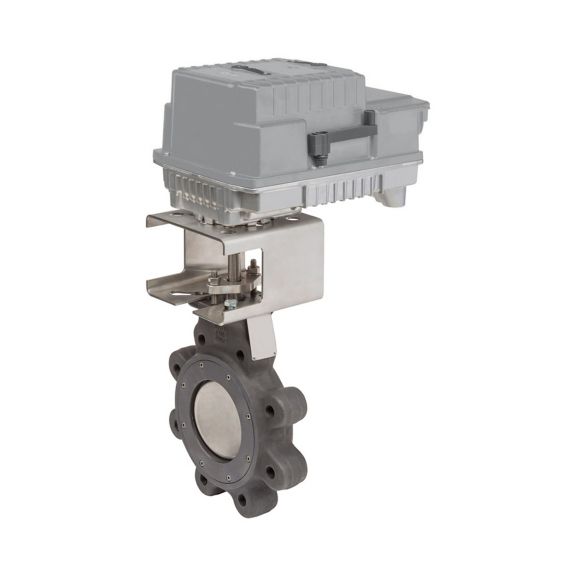 ANSI Class 150 High Performance Butterfly valve custom order