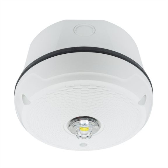 SCWKLED-P-Ceiling Alarm