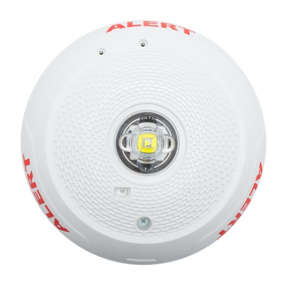 STROBE LED WHITE CEIL CLR LENS 4X4