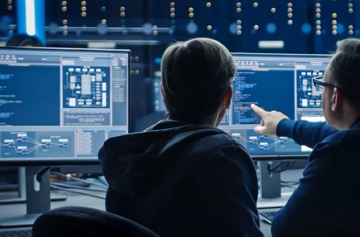 Image of two people from behind looking at monitor screens showing XLS software
