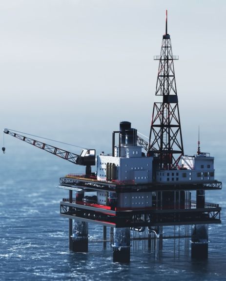 Détection fixe de gaz et de flammes