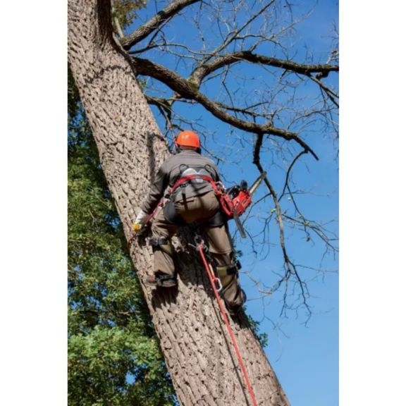 Miller Climbing Spikes