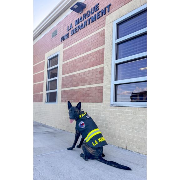 Morning Pride Dog Vests