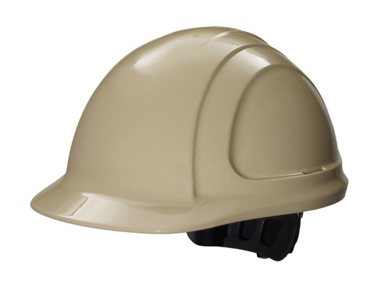 N10R Logo 50