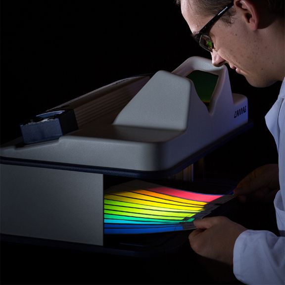 Phosphorescent Pigments