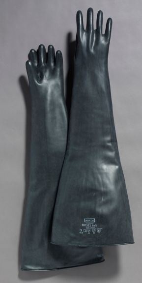 8B1532.jpg