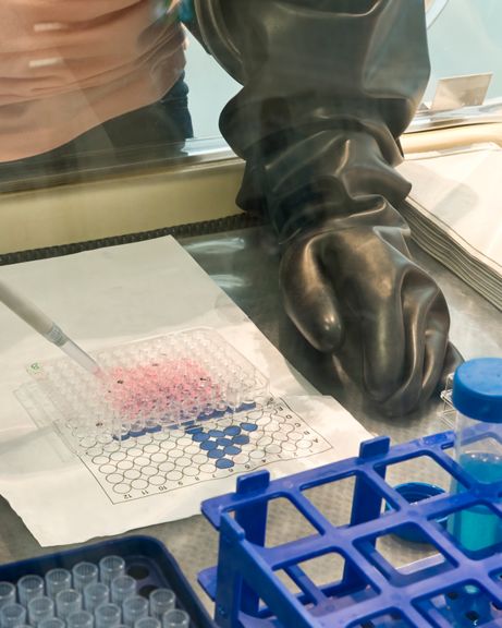 Controlled Environment Gloves