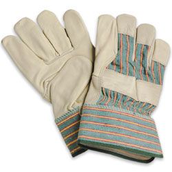 Grain Leather Fitters Glove L2470lpbi Image