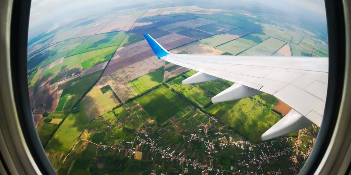 Plane wing