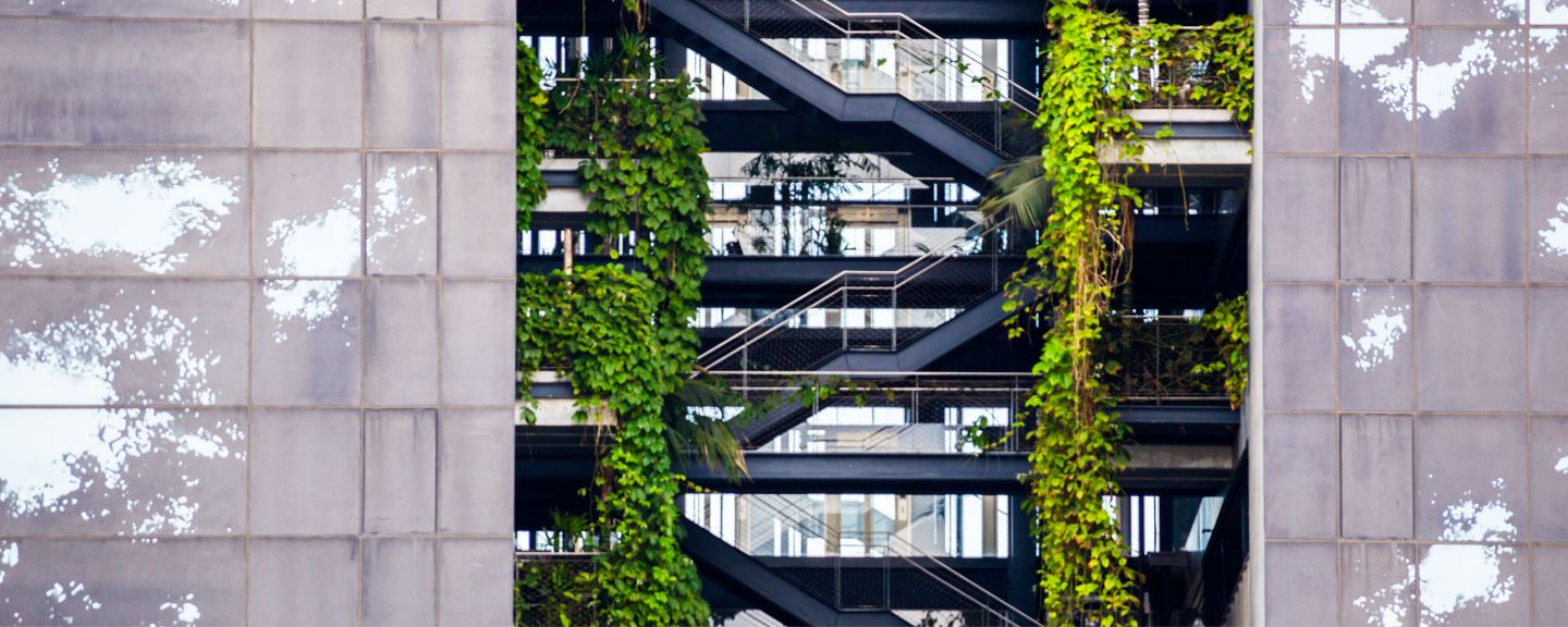 Stairway of a building