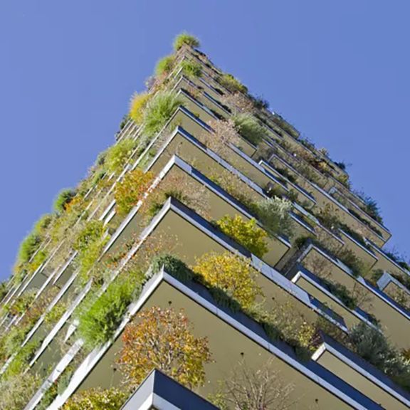 building with greenery