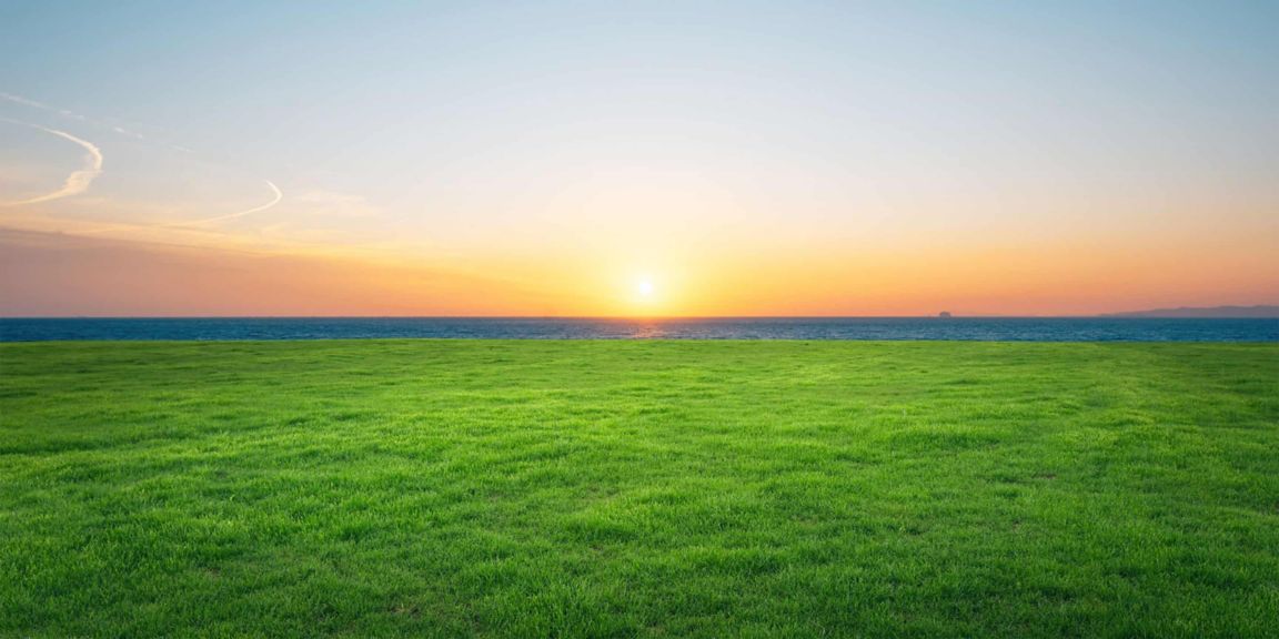 Sunset view on green field