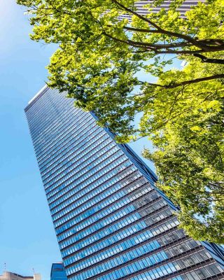 An upward view of tall skyscrapers surrounded by lush green trees, set against a bright blue sky with the sun shining overhead. The image captures the harmony between urban architecture and nature.
