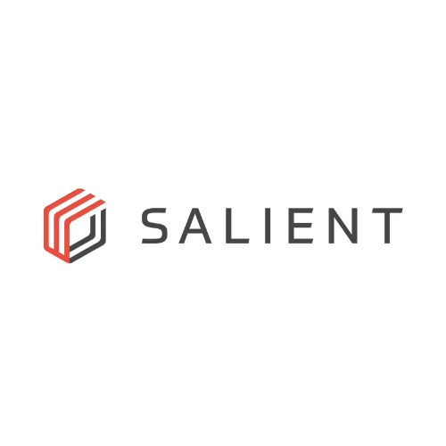 Salient Systems Logo