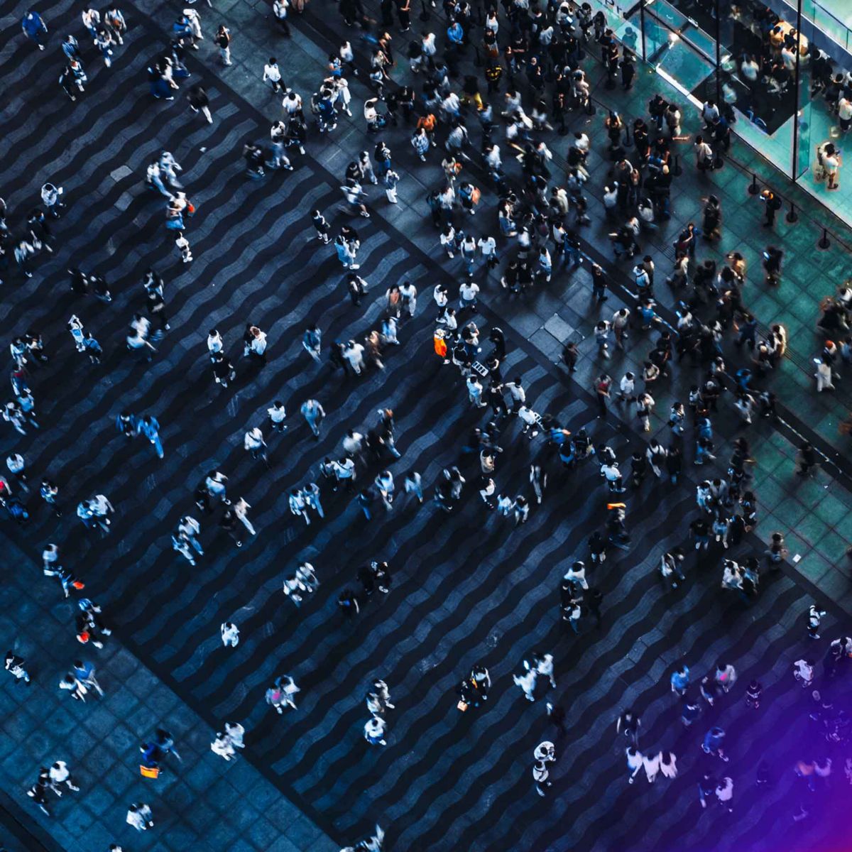 Gain workforce and occupancy insights with advanced analytics for safer and more efficient facilities.