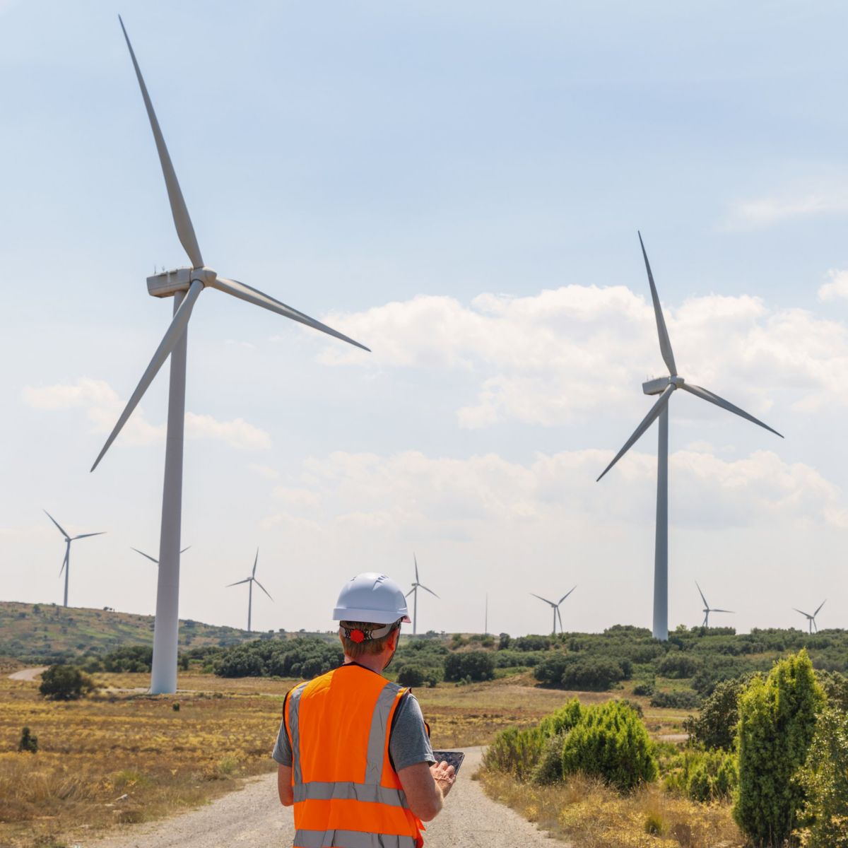 An engineer in a safety vest and hard hat uses a tablet to monitor wind turbines on a sunny day at a renewable energy site.