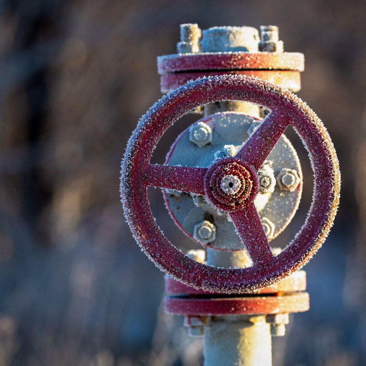 A close-up view of a frosted red industrial wheel valve set against a softly blurred, cold winter background.