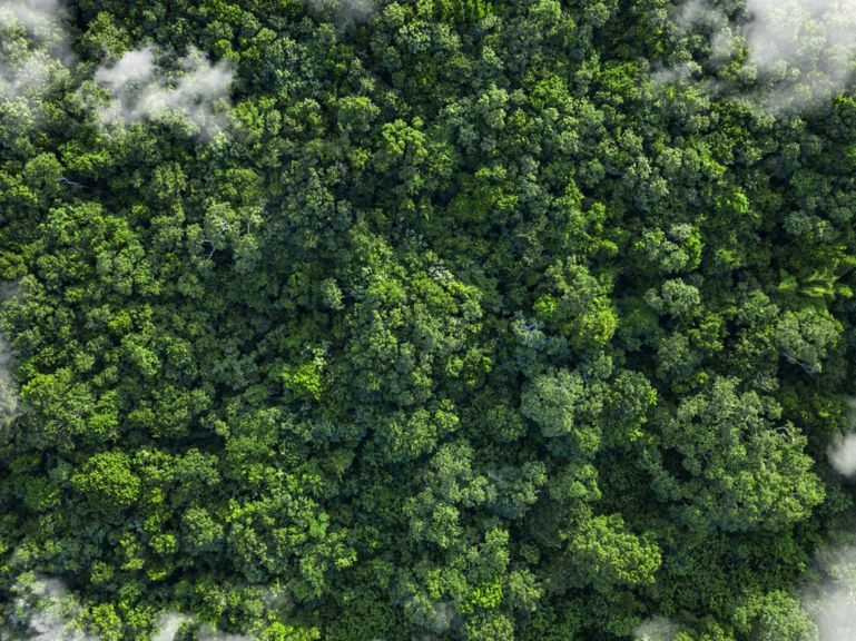 The photo shows a tropical green forest and nature from above with clouds, from a bird's eye view. The green lungs of the earth. The image symbolizes the sustainable use of nature and the importance of nature for people on earth, as well as the rare and precious beauty of untouched nature.
Impact of human activities on nature and the environment. Innovative ideas and promotion of sustainability. Sustainable Development. Carbon-neutral, CO2-free, low-carbon power generation, Eco-Friendly Business Idea. Environment-friendly Company Supply chains and manufacturing processes reducing gobal ecological Footprint. Environmental regulations. Making Value Chains Sustainable. Green Technology development. ESG-Investing, green investment funds and stocks, green climate fund, Sustainable investment products, Impact funds, Impact investing, ESG-Ratings, ESG Score. Green Business. Environmentally sustainable companies. Investing with a good conscience. Responsible Investing.
