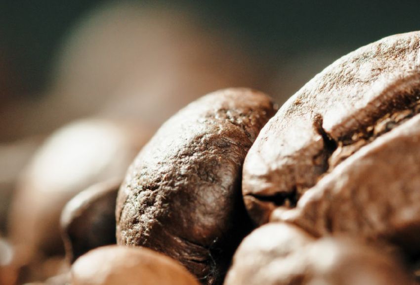 ECO-FRIENDLY SOLUTIONS FOR A COFFEE CULTURE