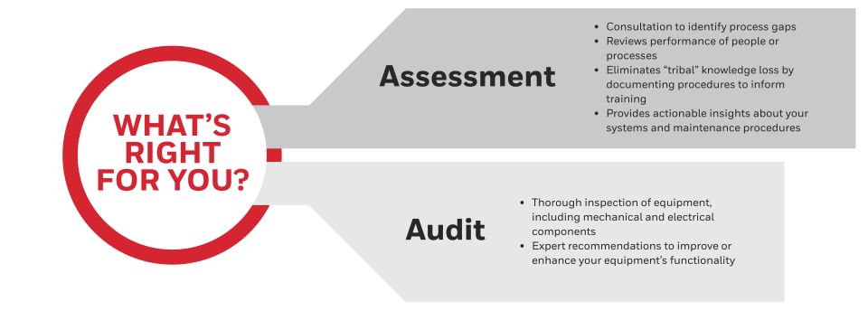 Diagram depicting the main features for audits and assessments.