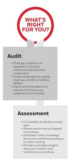Diagram depicting the main features for audits and assessments.