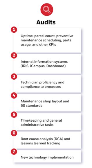 Diagram depicting the variety of options offered by the audits.