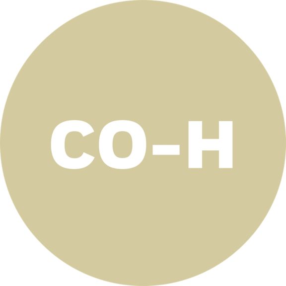 hon-ia-pmc-carbon-monoxide-500x500.png