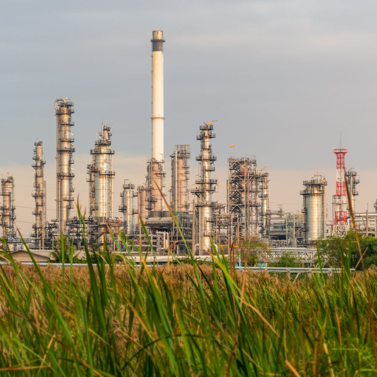 Industrial refinery structures and tall processing towers rise above foreground wetlands under a soft, overcast evening sky.