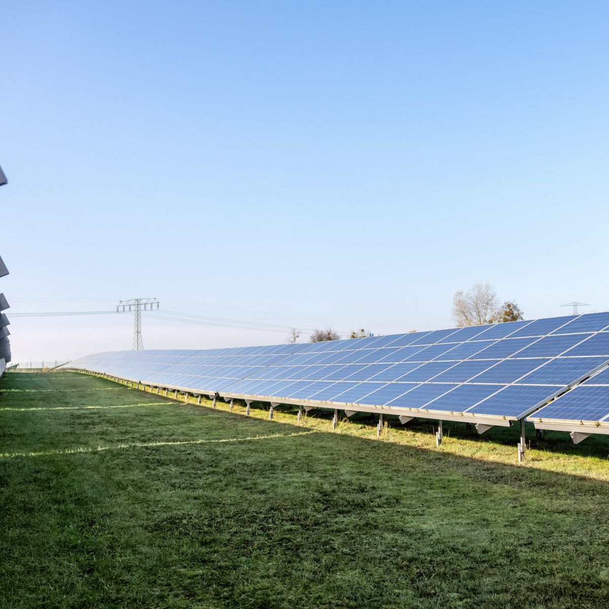 Rows of blue photovoltaic solar panels installed in a grassy field under a clear blue sky.