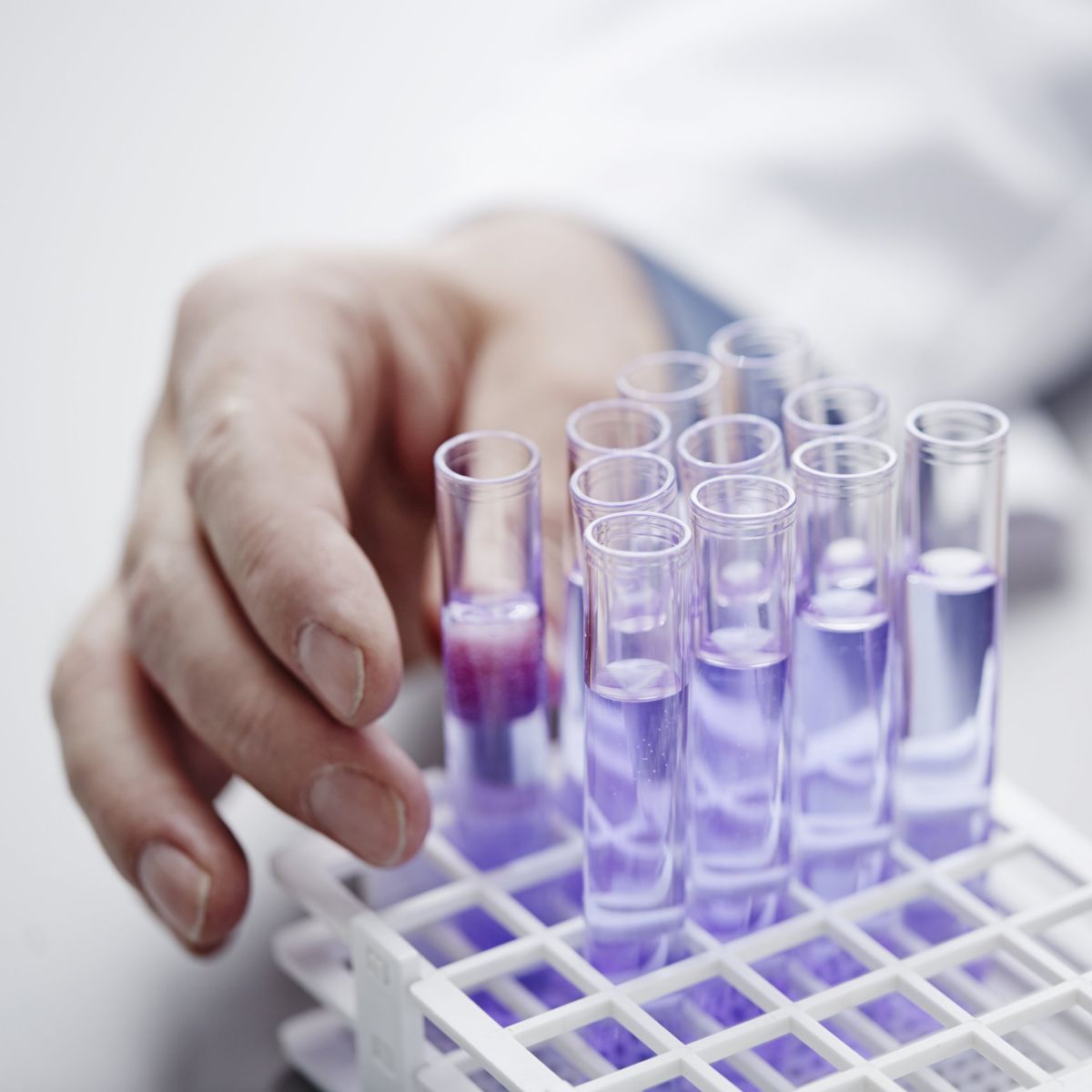 A researcher handles a rack of test tubes containing purple liquid samples in a clean, professional laboratory setting.
