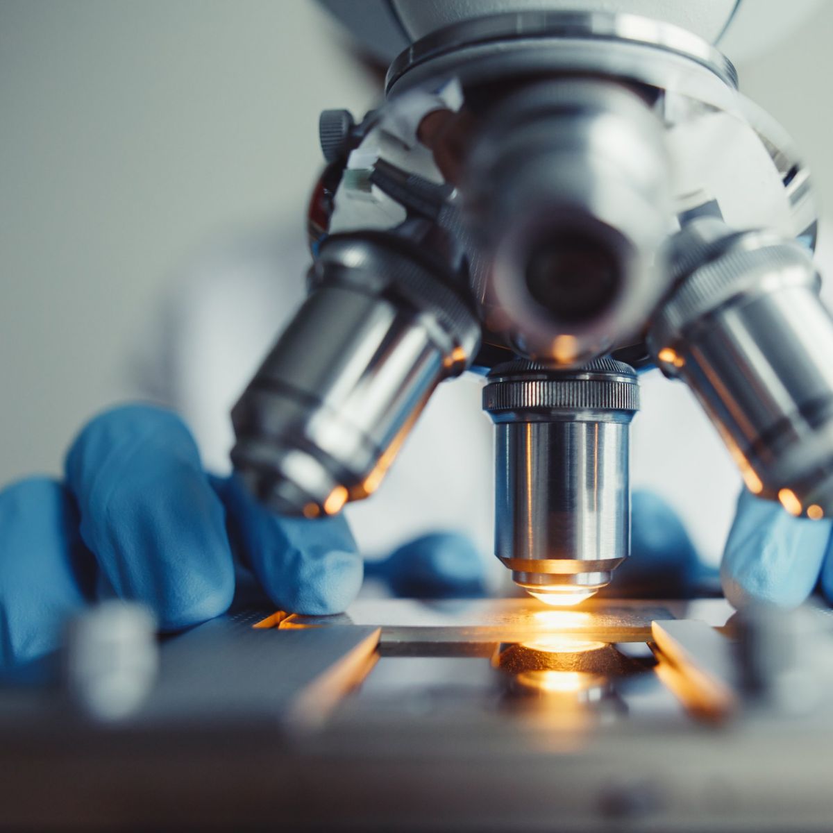 Researcher using a professional microscope with blue gloves to examine a sample in a sterile laboratory environment.