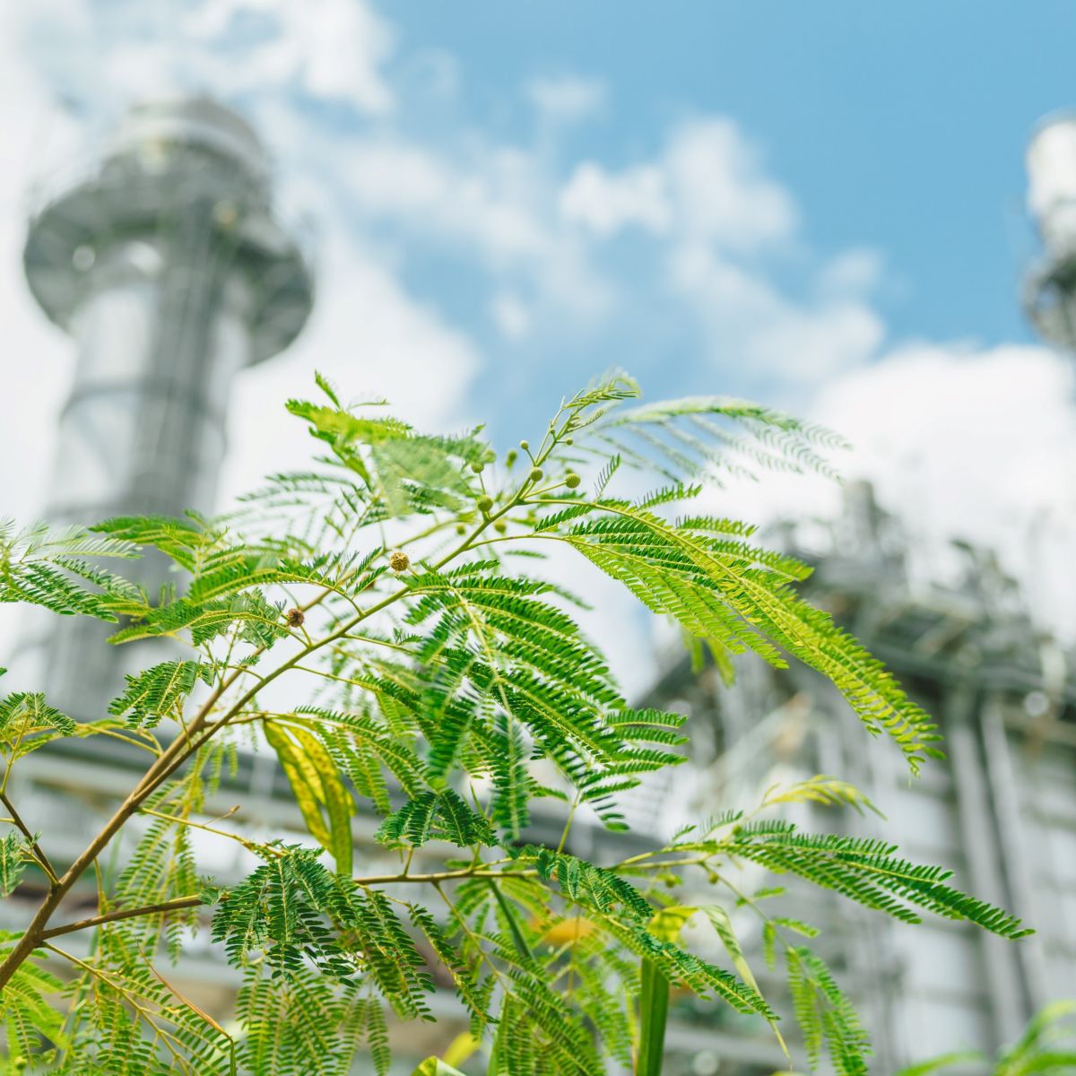 Vibrant green foliage in the foreground with blurred industrial towers and a blue sky in the background.