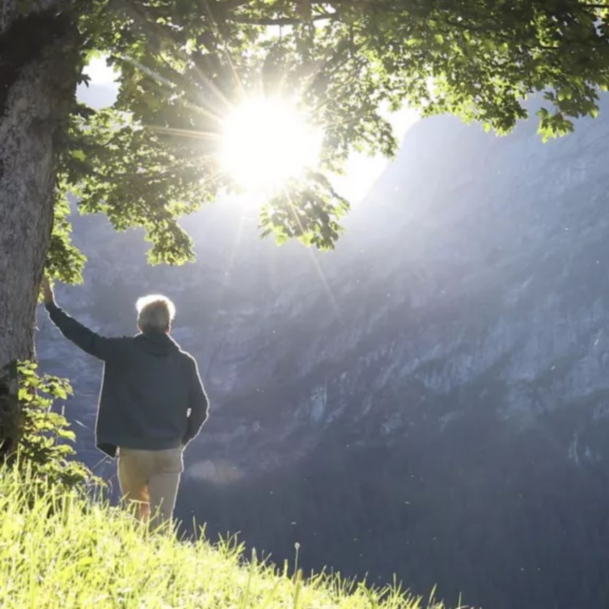 Individual standing under a tree and enjoying a scenic mountain landscape, representing retirement lifestyle, freedom, and connection with nature.