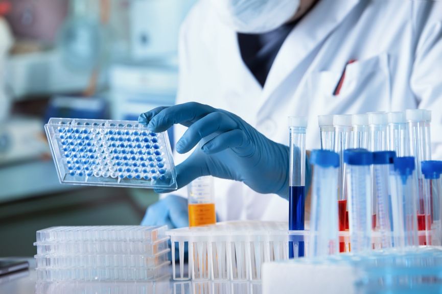 A researcher in a laboratory holds a microplate with blue samples surrounded by test tubes containing various colorful chemical reagents.