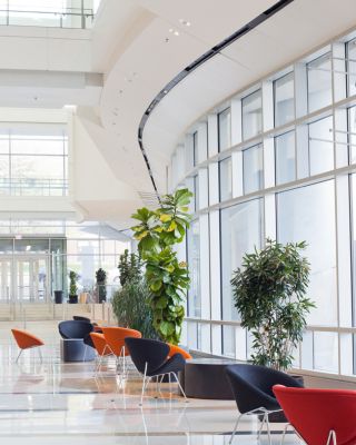 Coworkers walking and using bicycle on office's lobby - with face mask