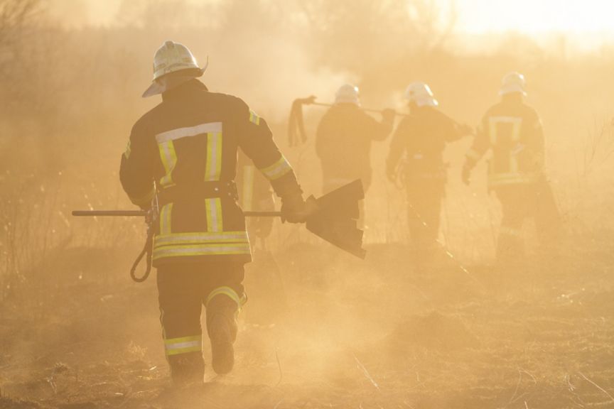 Firefighters during wildfire