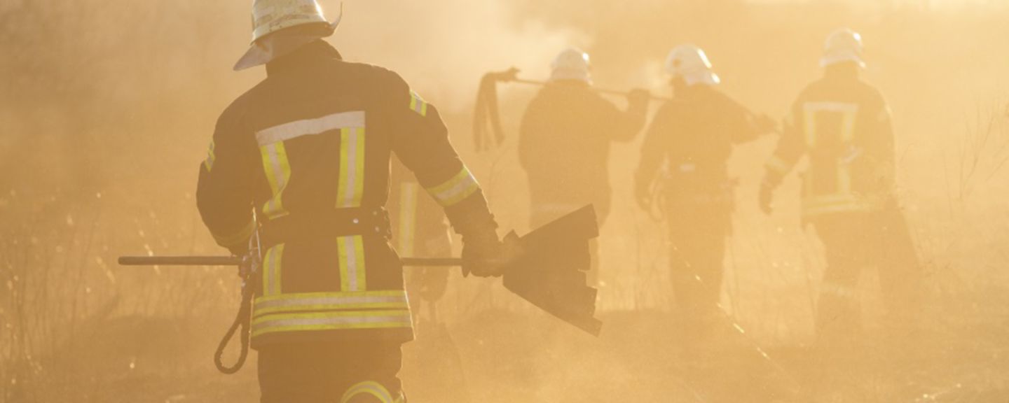 Firefighters battle a wildfire