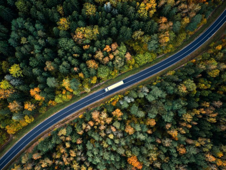 sps-pss-road-in-the-forest-1440x1080.jpg